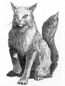 Gyrinx as illustrated in Warhammer 40,000 Rogue Trader, 1987