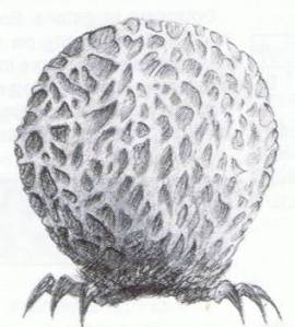 Bouncer as it appeared in WH40K Rogue Trader.