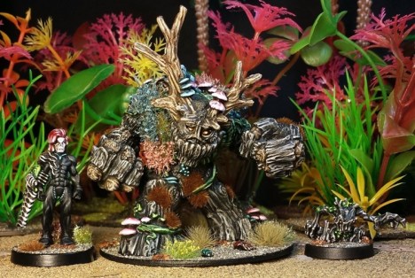 L to R: L'Oreal, Cha'lee, Tumbleweed