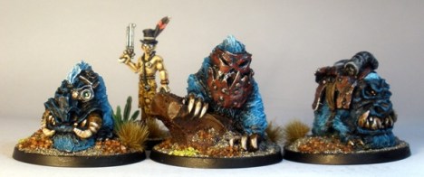 Domesticated Dungers