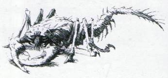 Catachan Devil as shown in 3rd edition Codex: Catachan