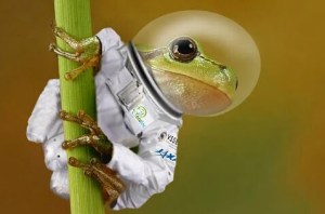 SpaceFrog2