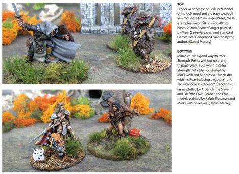 Dragon Rampant, p.9. Used without permission.