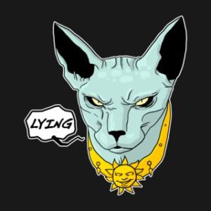 lyingcat3