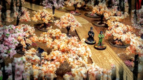 #38 - #111: Trees and Fences